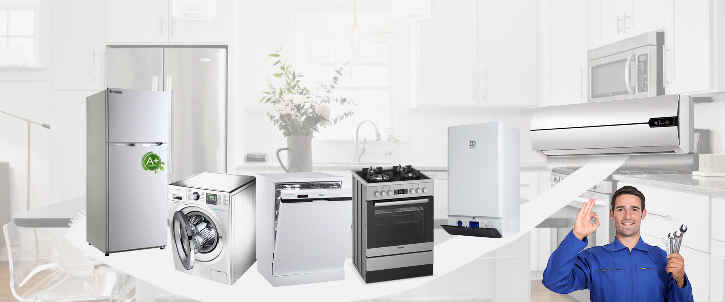 Beşiktaş Electrolux Servisi